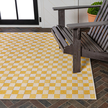 Aimee Traditional Cottage Checkerboard Indoor/Outdoor Area Rug